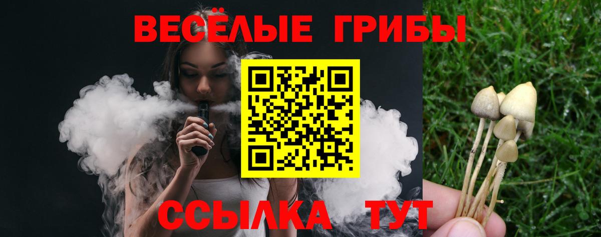 Галлюциногенные грибы ЛСД Новосибирск